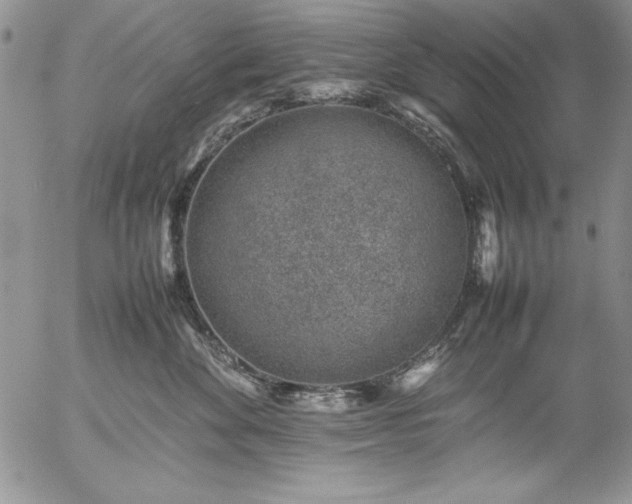 X0000057080524200509091251