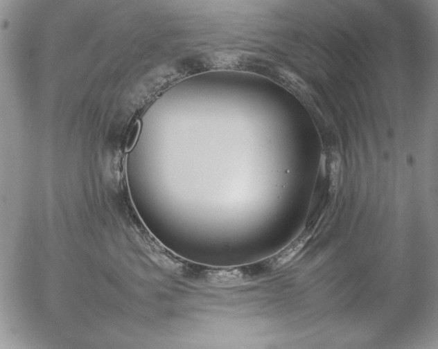 X0000057080525200509091251