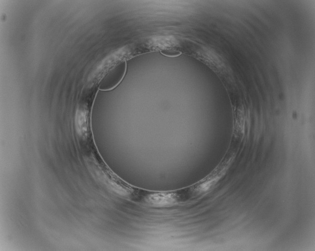 X0000057080526200509091251