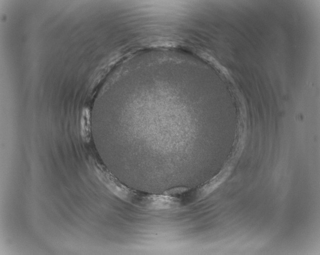 X0000057080528200509091251