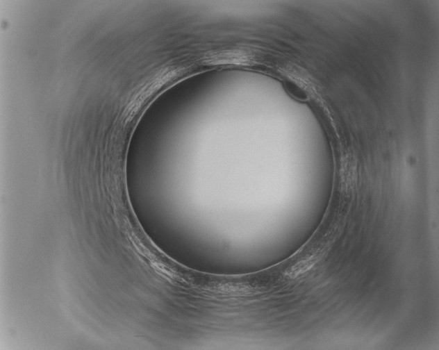 X0000057080529200509091250