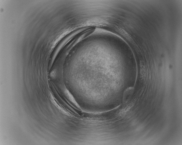 X0000057080530200509091250