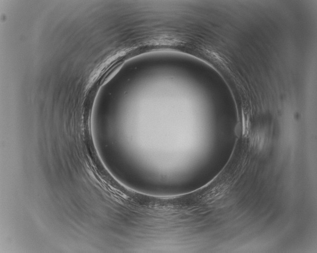 X0000057080531200509091250