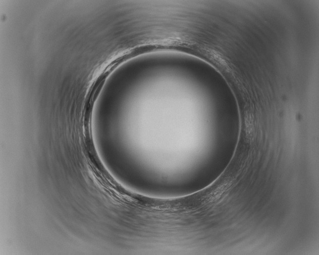 X0000057080532200509091250