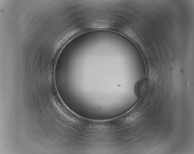 X0000057080533200509091250