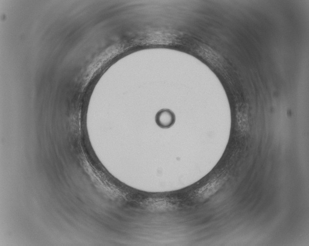 X0000057080534200509091250