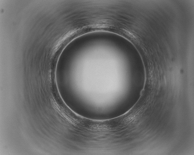 X0000057080535200509091250