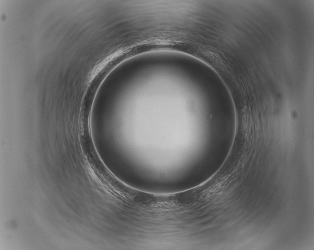 X0000057080536200509091250