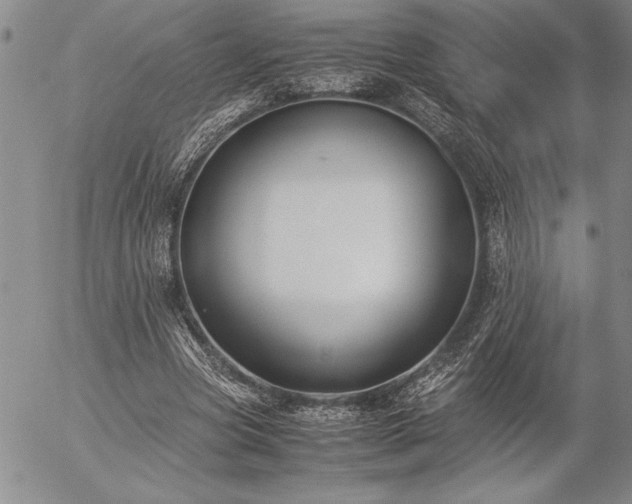 X0000057080537200509091250