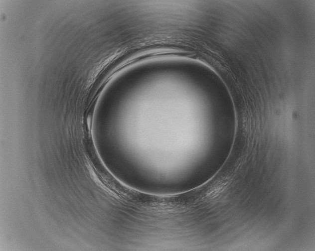 X0000057080538200509091250