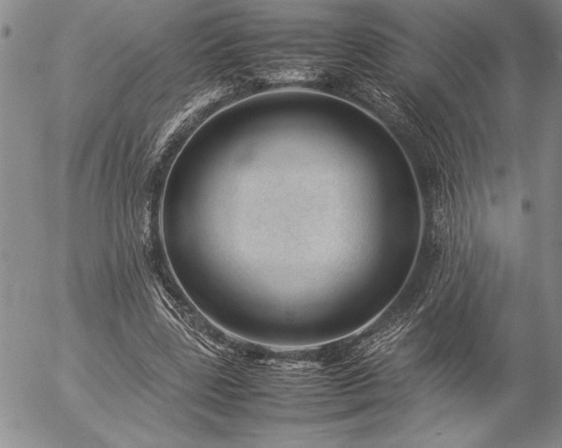 X0000057080539200509091250