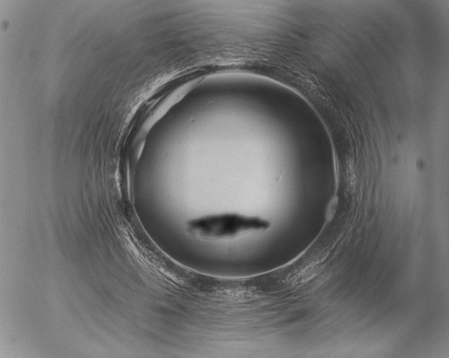 X0000057080540200509091250