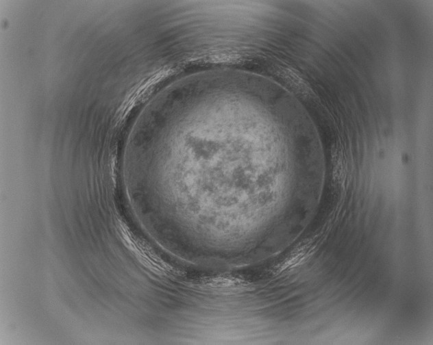 X0000057080542200509091250