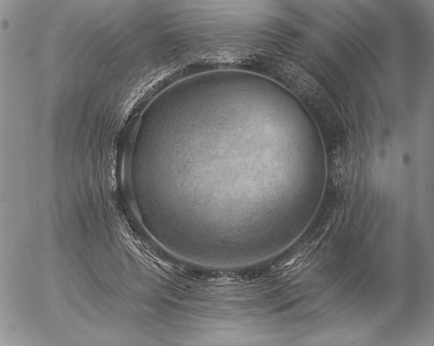 X0000057080544200509091250