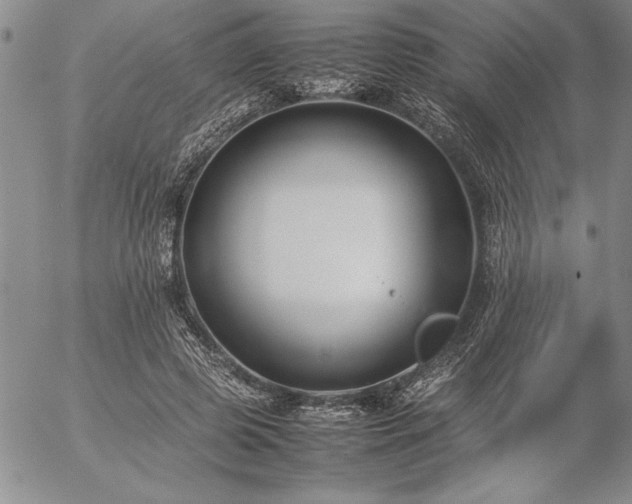 X0000057080545200509091250