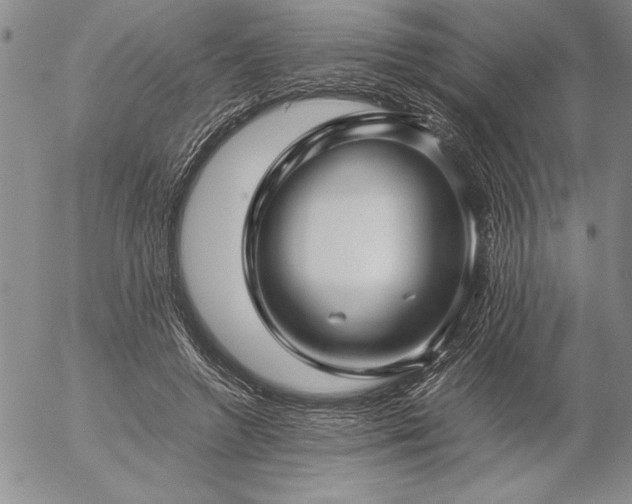 X0000057080546200509091250