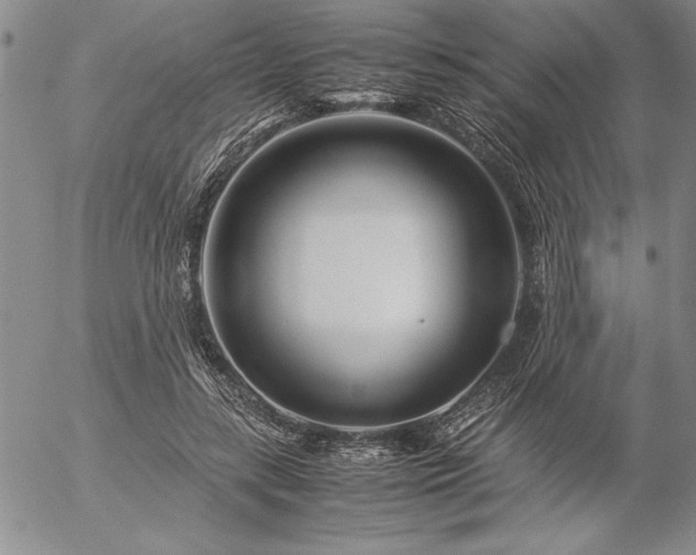 X0000057080547200509091250