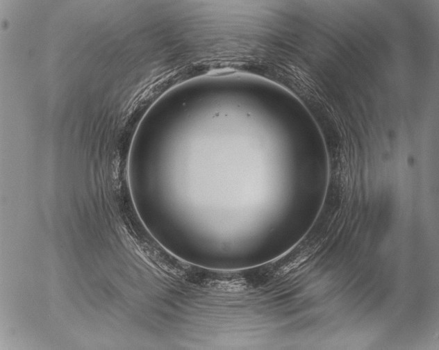 X0000057080548200509091250