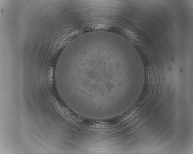 X0000057080550200509091250