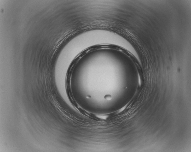 X0000057080552200509091250