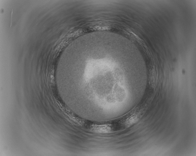 X0000057080553200509091250