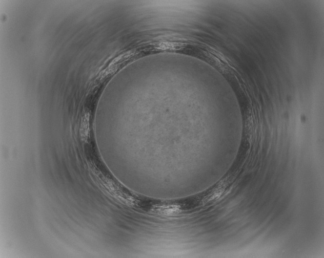 X0000057080554200509091250