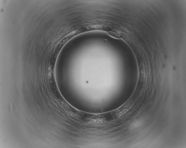 X0000057080555200509091250