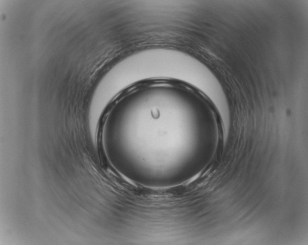 X0000057080556200509091250