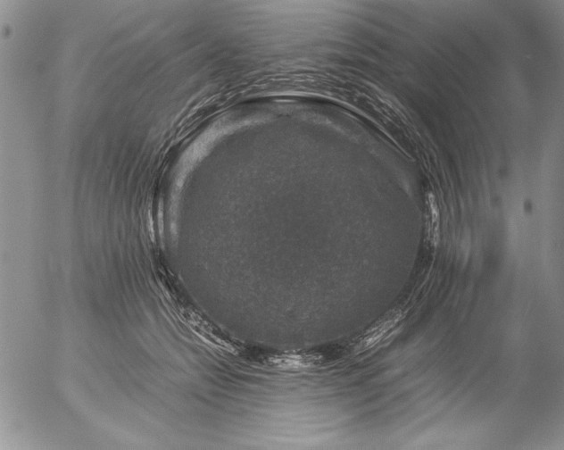 X0000057080558200509091251