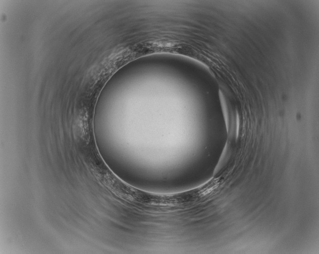 X0000057080559200509091251