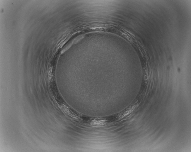 X0000057080560200509091251