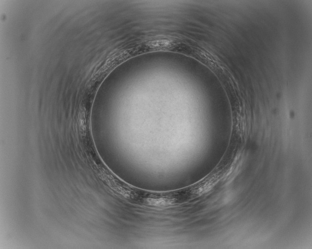 X0000057080561200509091251