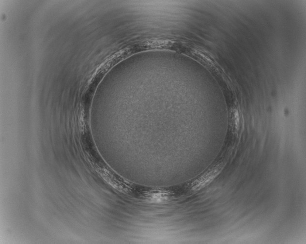 X0000057080564200509091251