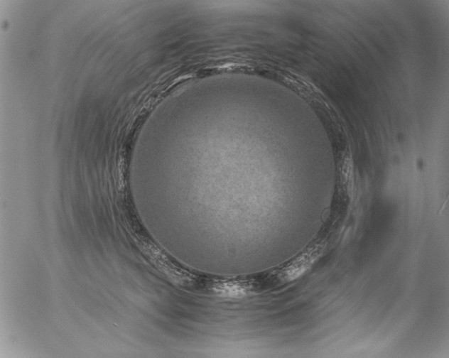 X0000057080565200509091251