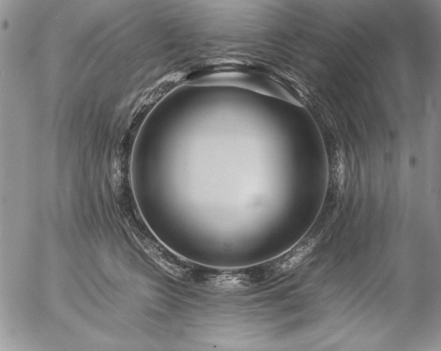 X0000057080566200509091251