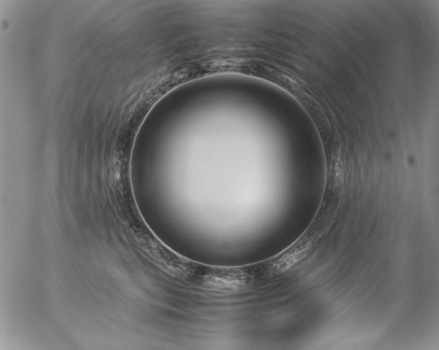 X0000057080567200509091251