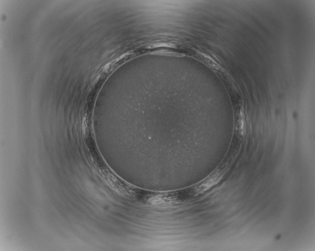 X0000057080568200509091251