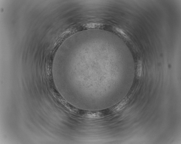 X0000057080569200509091251