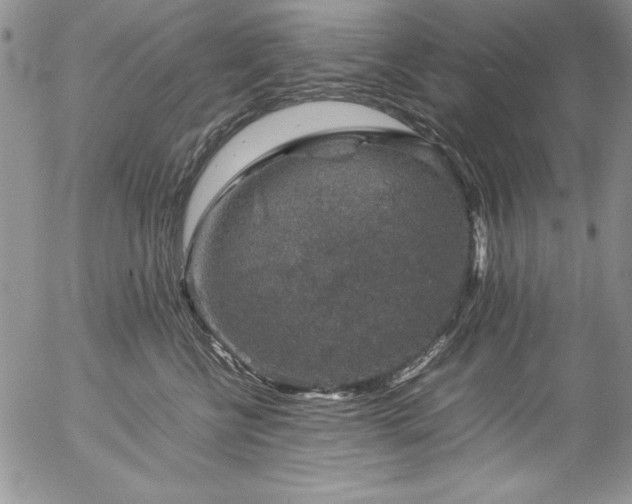 X0000057080570200509091251