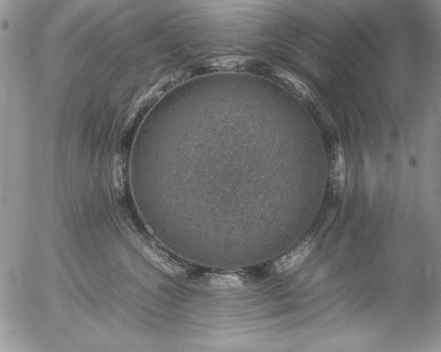 X0000057080572200509091251