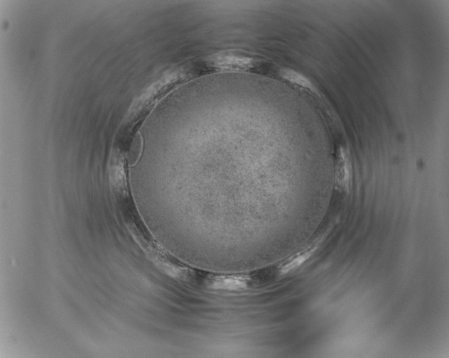 X0000057080573200509091251