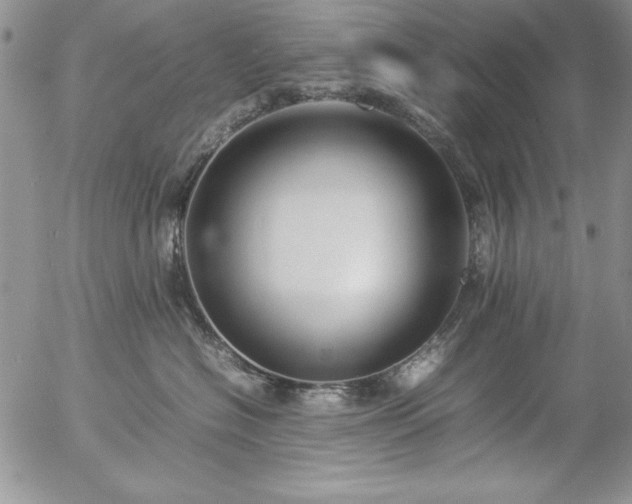 X0000057080574200509091251