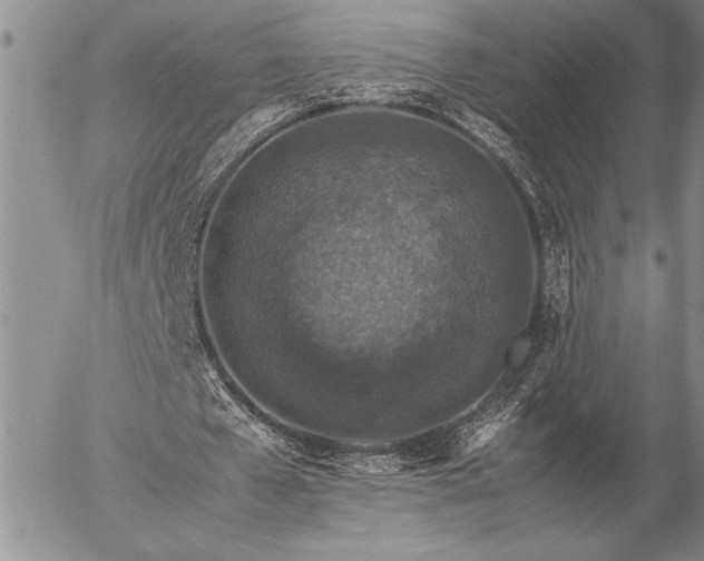 X0000057080577200509091250