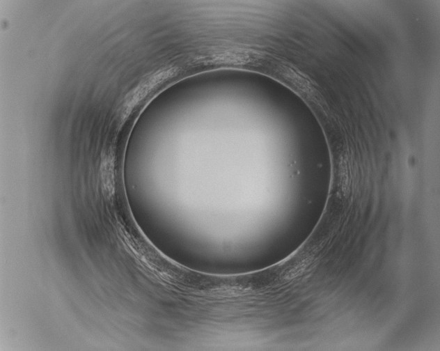 X0000057080578200509091250