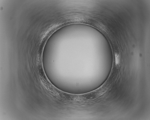 X0000057080579200509091250