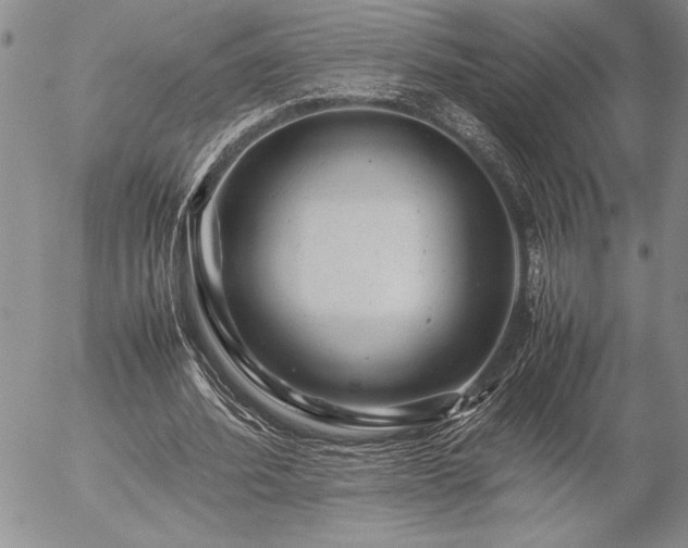 X0000057080580200509091250