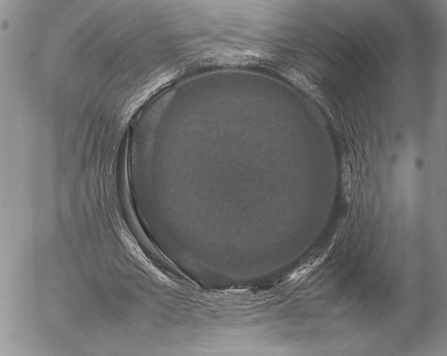 X0000057080581200509091250