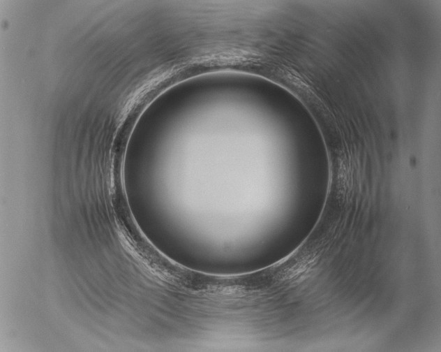 X0000057080582200509091250