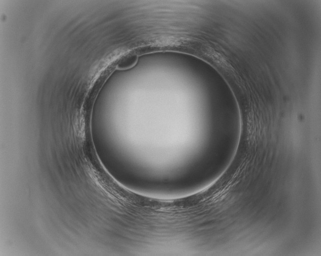 X0000057080584200509091250