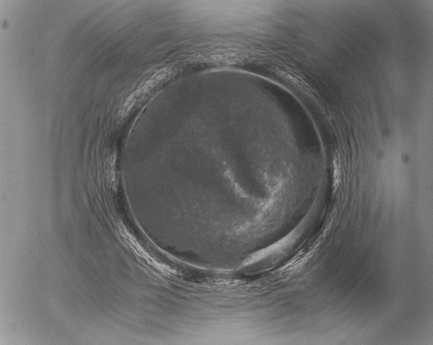 X0000057080585200509091250